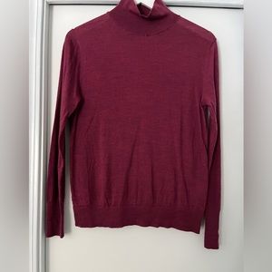Banana Republic Turtleneck Sweater